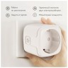 Умная WiFi розетка Aubess 20A/EM, работает с Яндекс Алиса, встроенный энергомониторинг